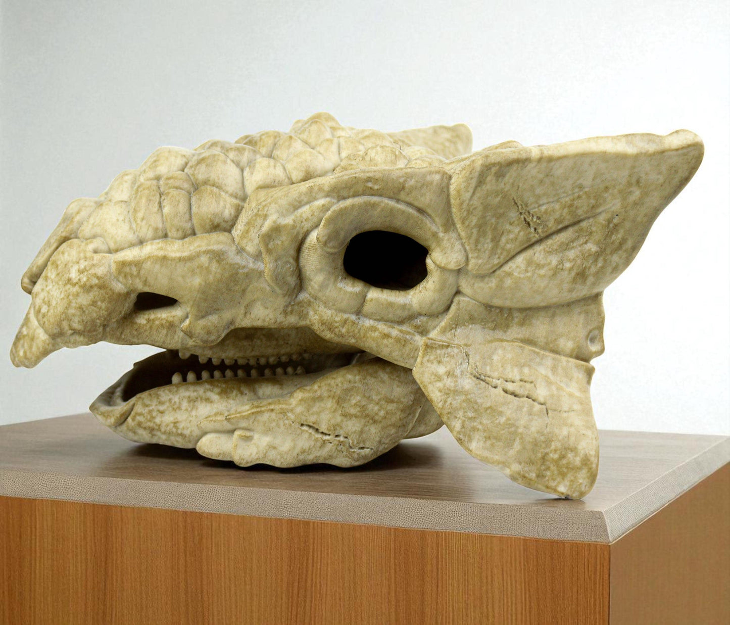 Ankylosaurus skull, Dinosaur Fossil Replica, Prehistoric Decor, Gift for Dinosaur Lovers