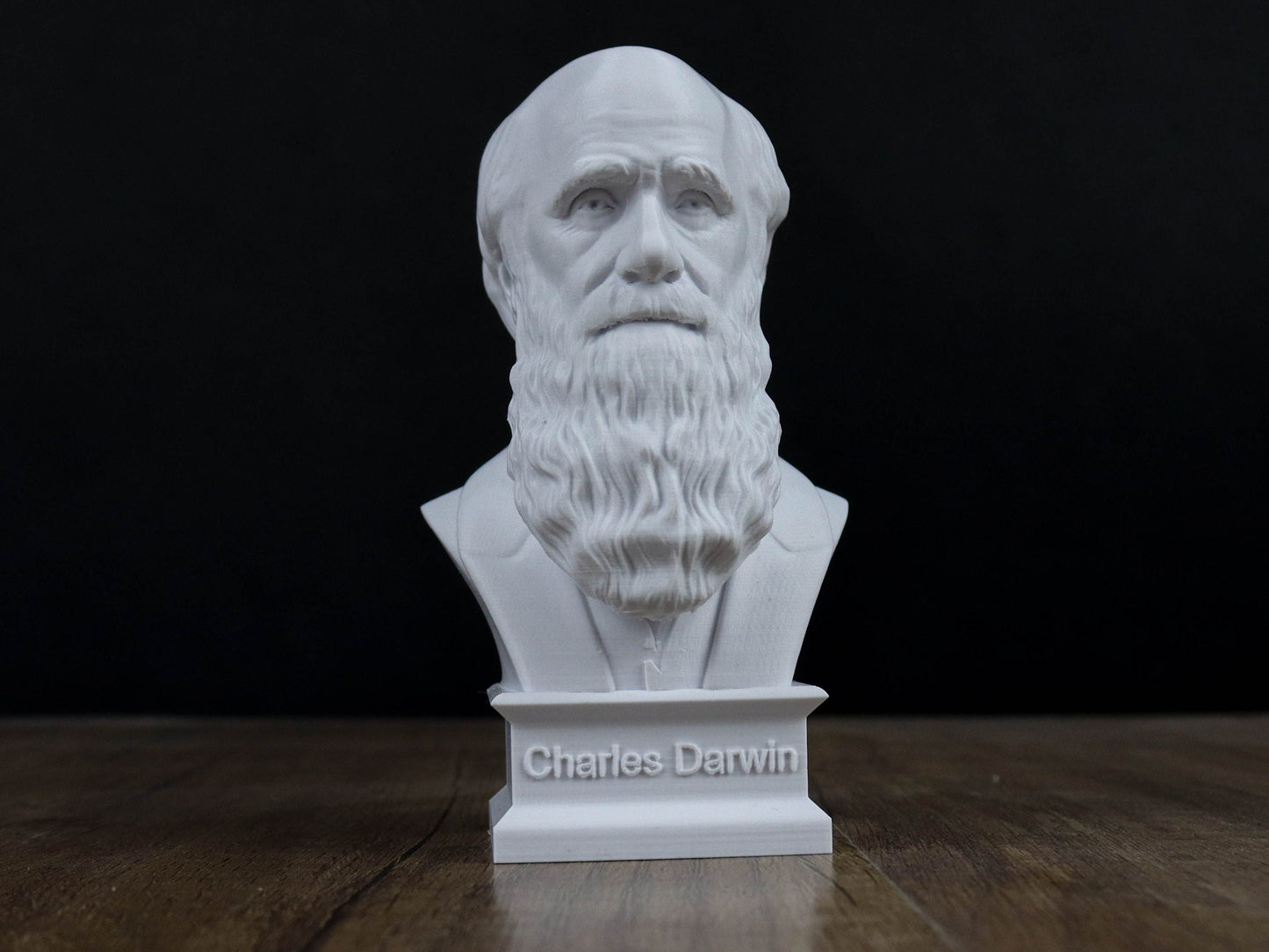 Charles Darwin Bust Sculpture