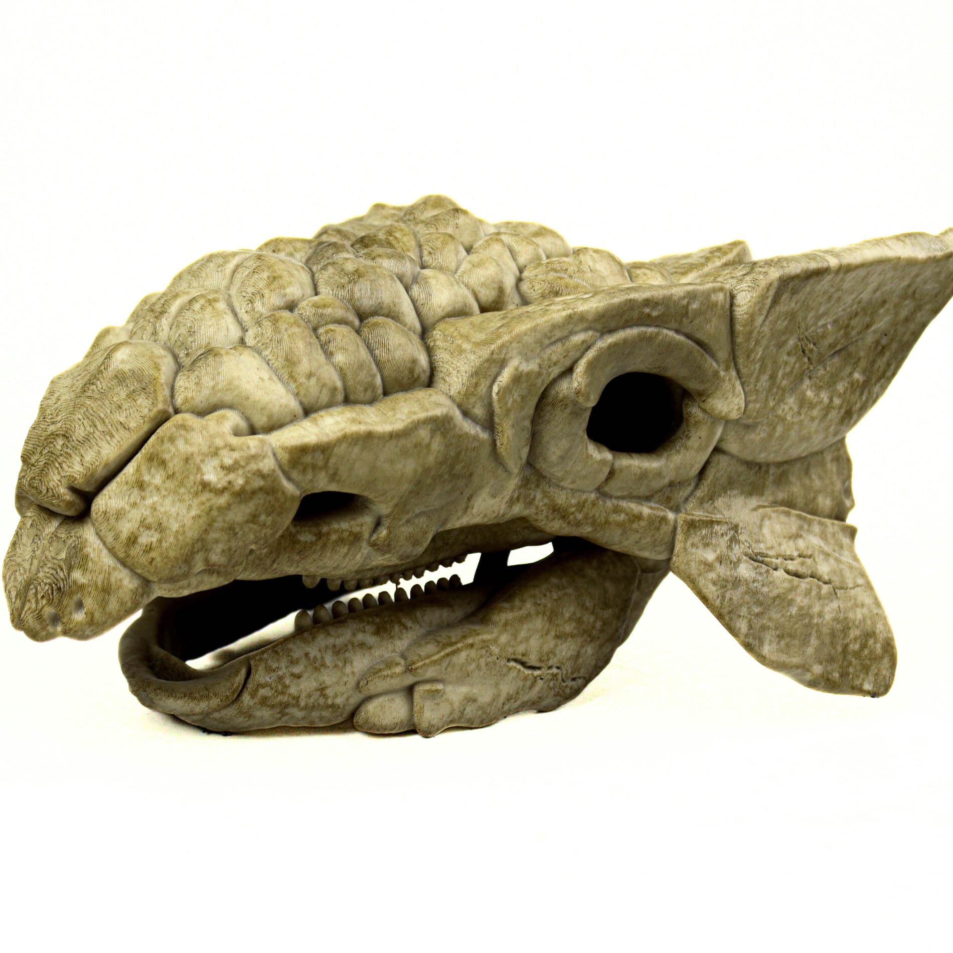 Selected Variant Image