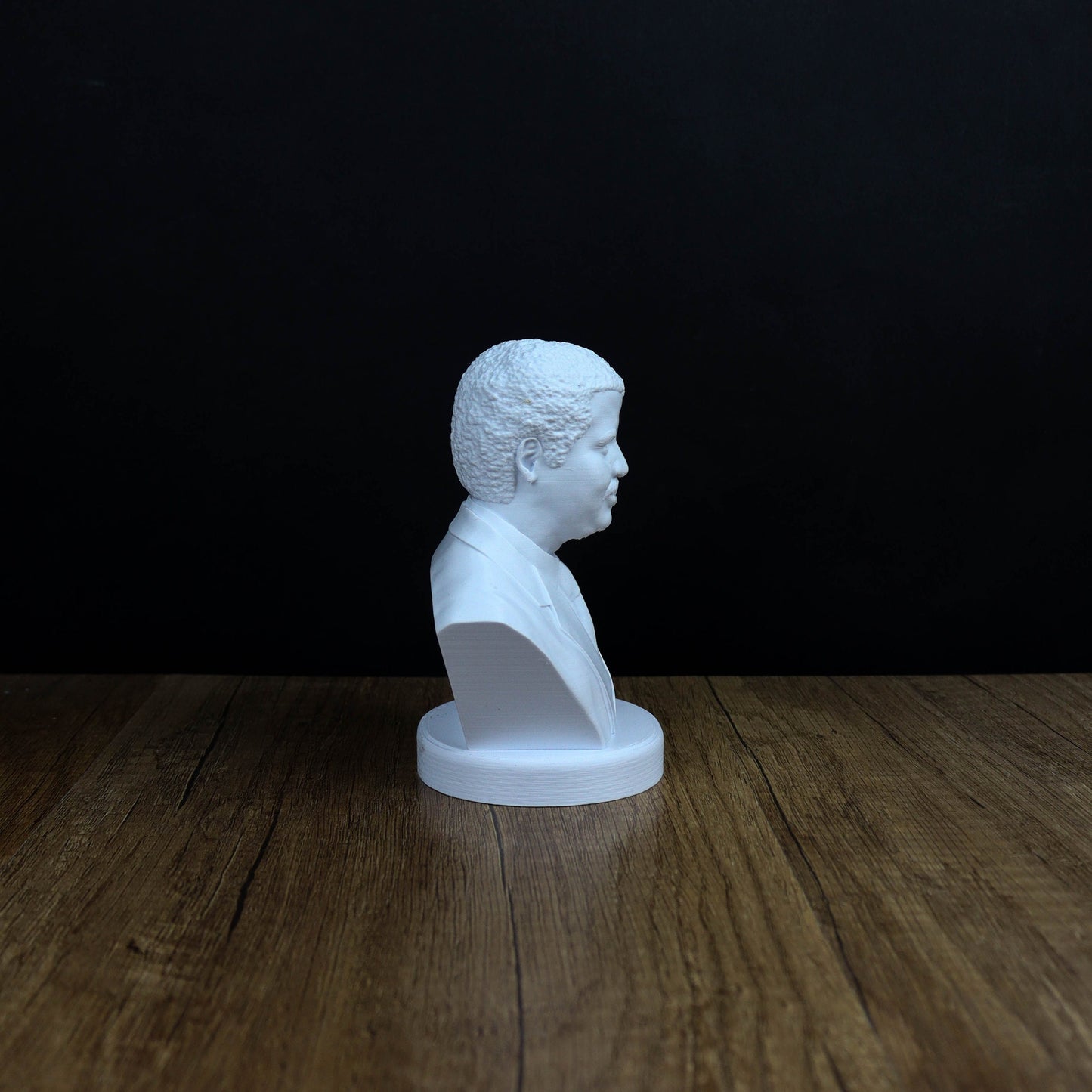 Neil deGrasse Tyson Bust