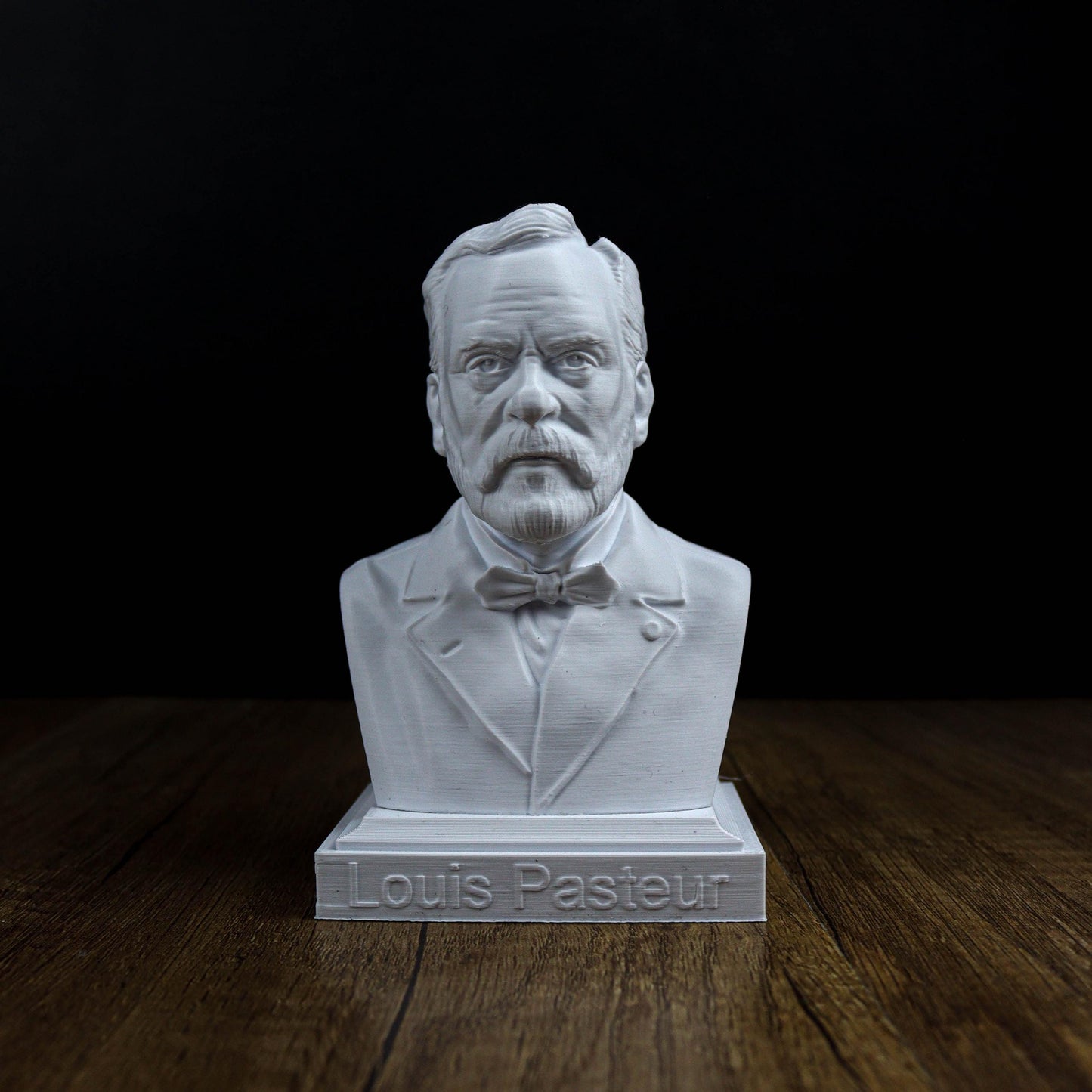 Louis Pasteur Bust, Scientist Statue for Bookshelf Decor, Microbiology Pioneer Gift, Home Decoration for Science Lovers