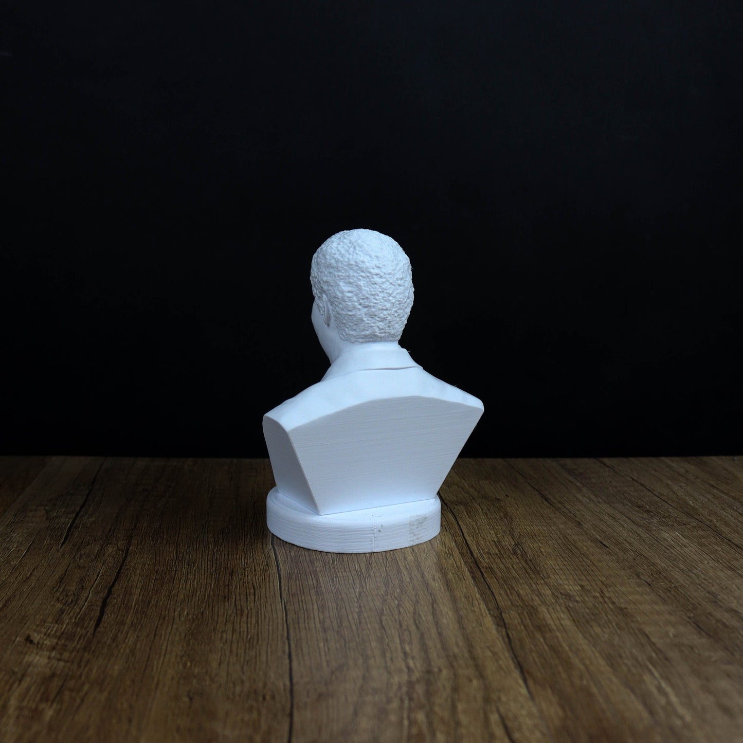 Neil deGrasse Tyson Bust