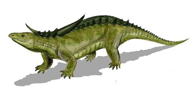 Desmatosuchus Aged Skull Replica, Triassic Fossil Display for Home or Office