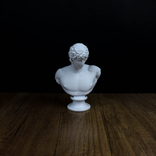 Antinous Bust, Classical Greek Beauty Sculpture