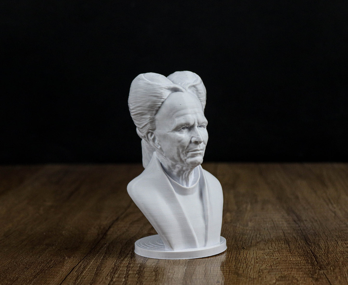 Dracula Bust, Gary Oldman 3d Printed Sculpture