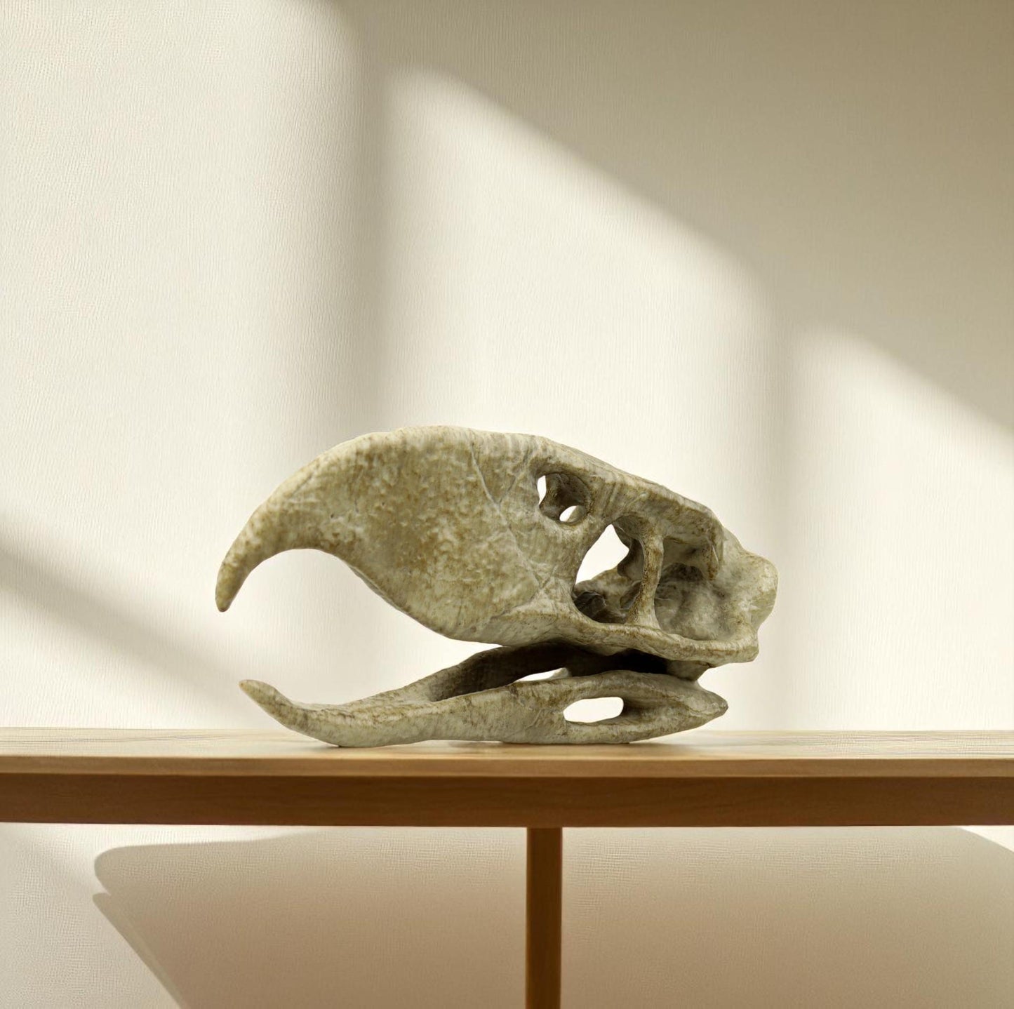 Phorusrhacos Skull Replica, Prehistoric Terror Bird Fossil Decor