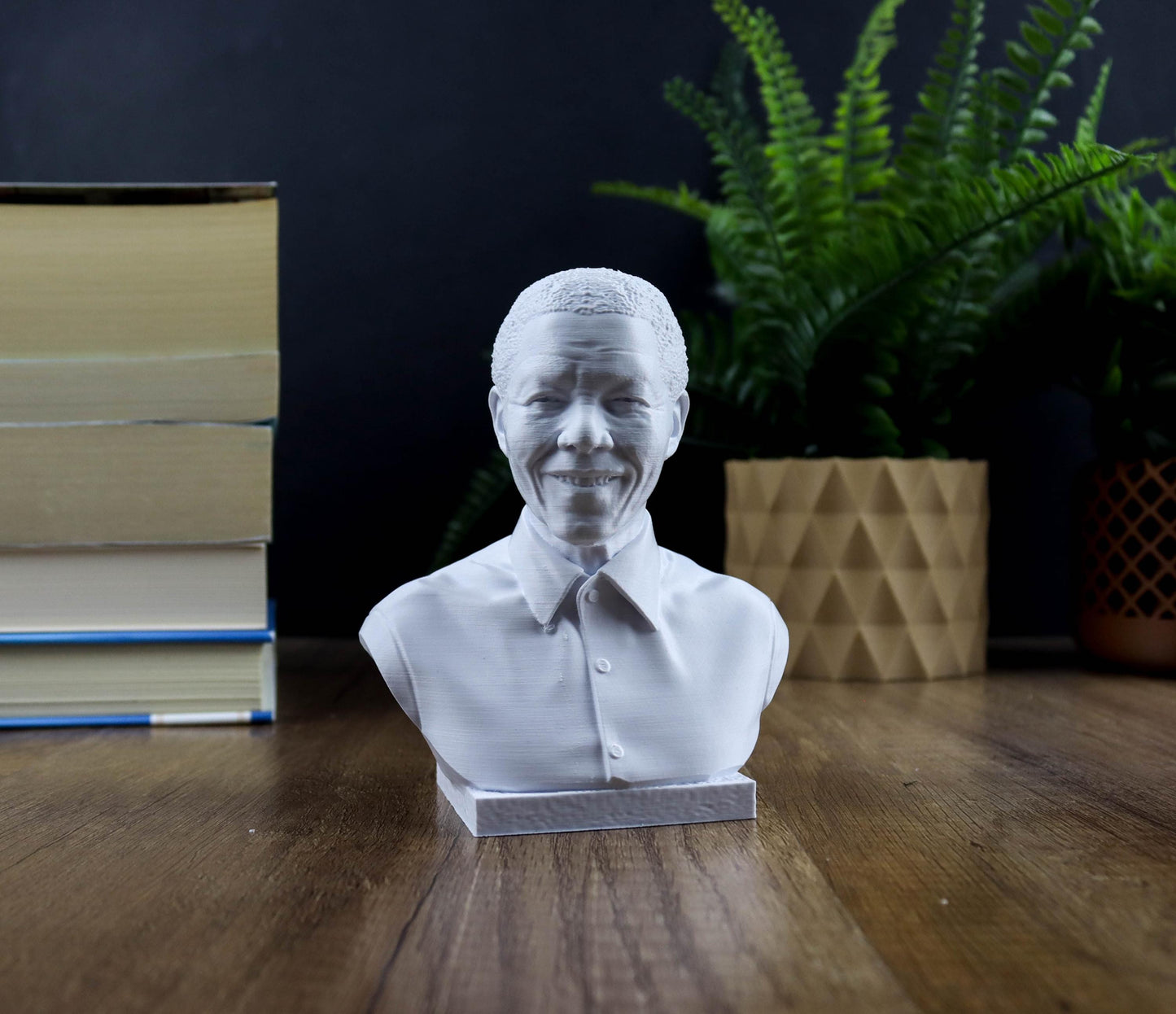 Civil Rights Leaders Bust Value Pack: Martin Luther King Jr ,Malcolm X , Harriet Tubman & More