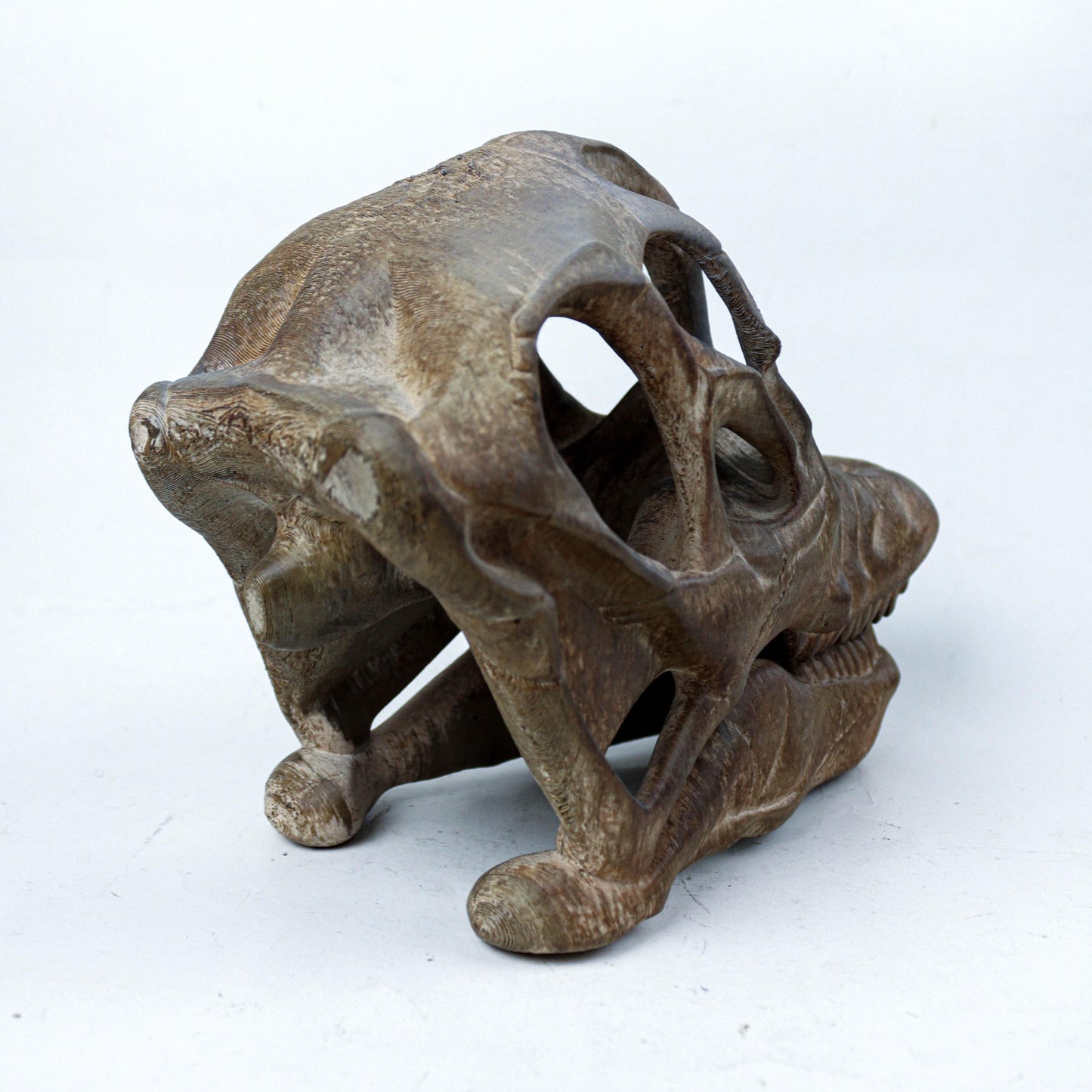 Brachiosaurus Painted Skull Replica, Prehistoric Dinosaur Fossil Model, Unique Dinosaur Lover Gift