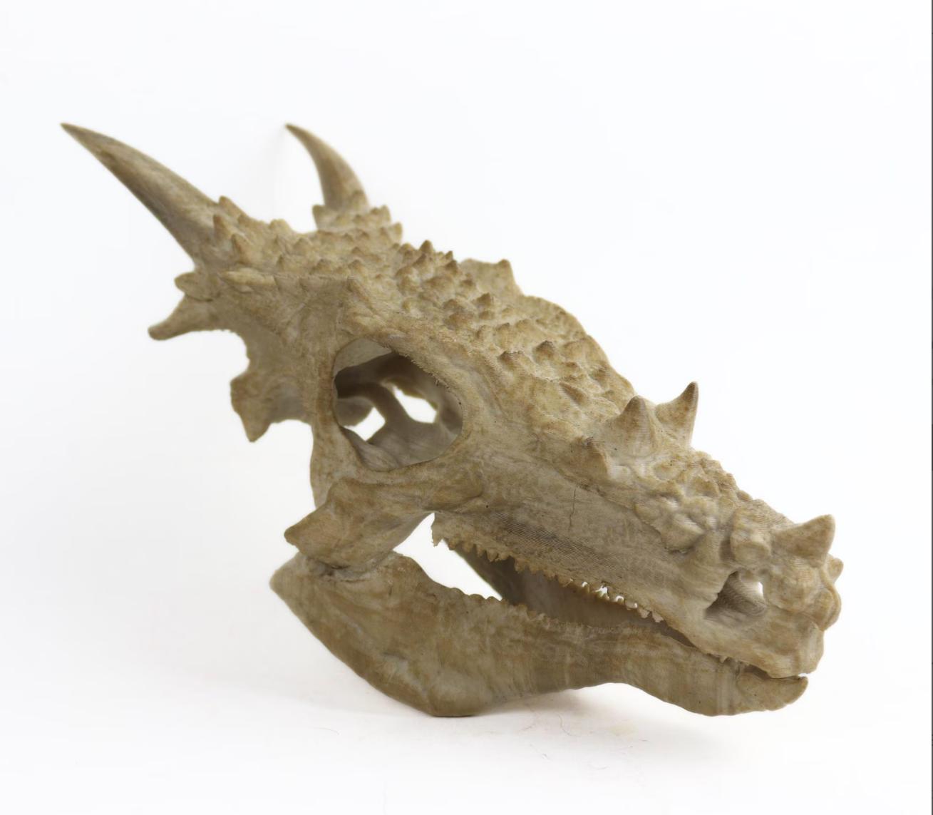 Dinosaurs fossils pack 9.2"/23.5cm Length: T-rex skull, Velociraptor, Allosaurus, Spinosaurus, Triceratops, Dilophosaurus etc
