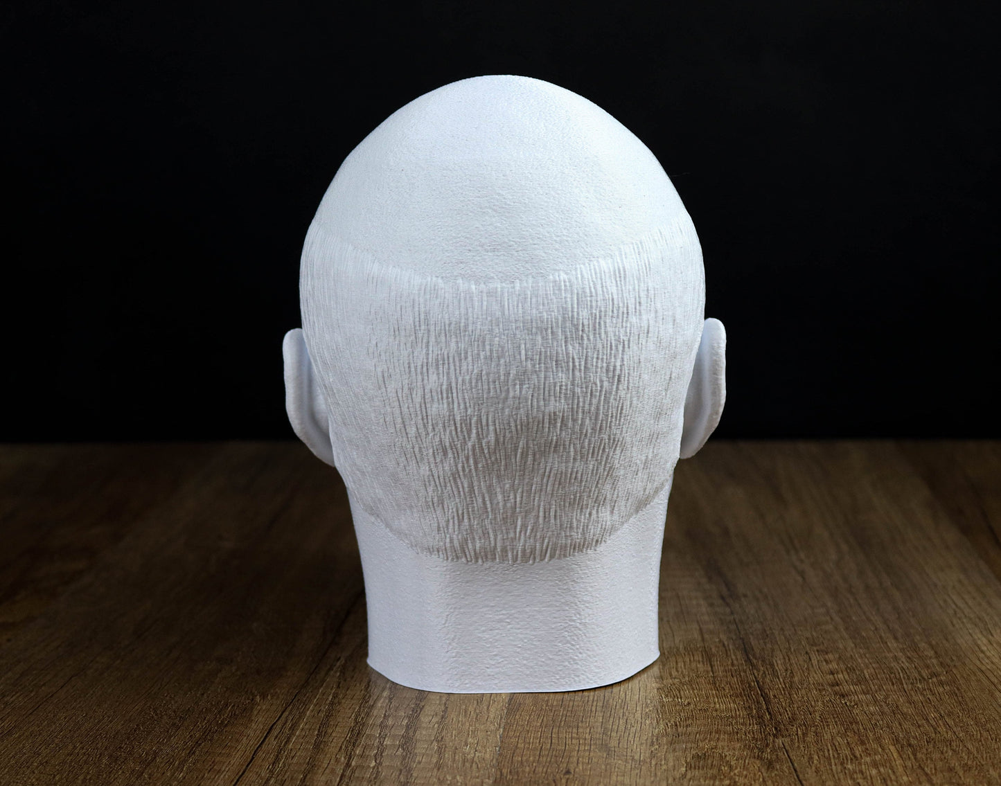 Jean-Luc Picard Headphone Holder, Headset Stand, Bust, Sculpture, Decoration