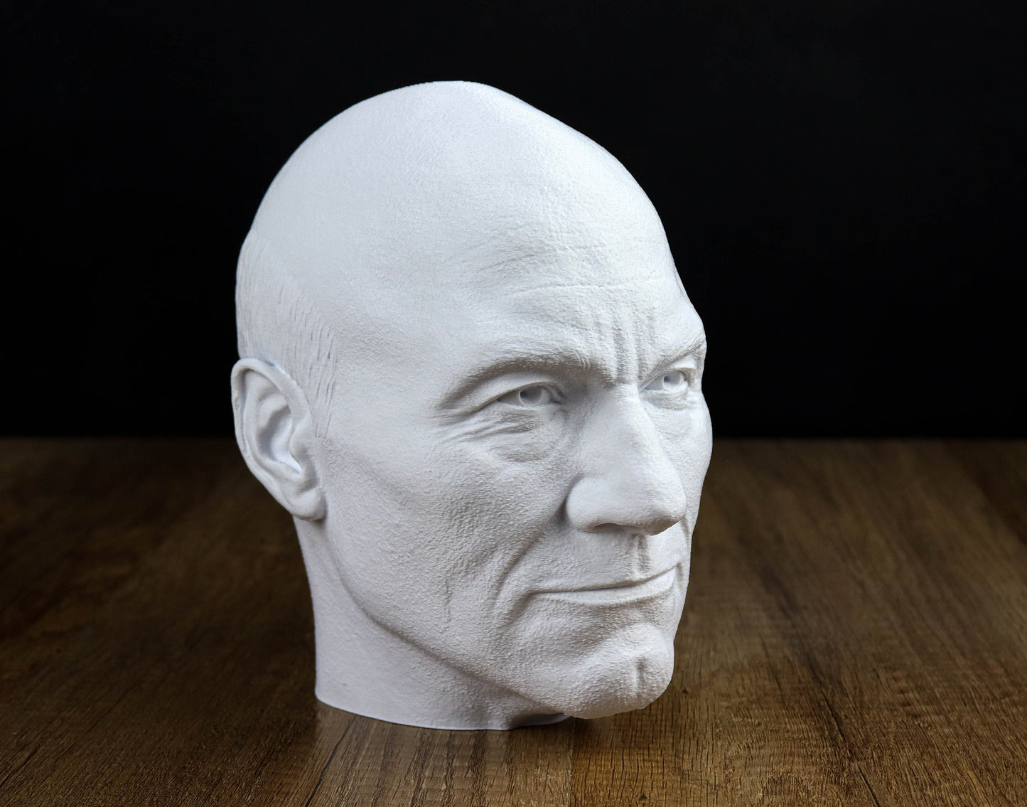 Jean-Luc Picard Headphone Holder, Headset Stand, Bust, Sculpture, Decoration