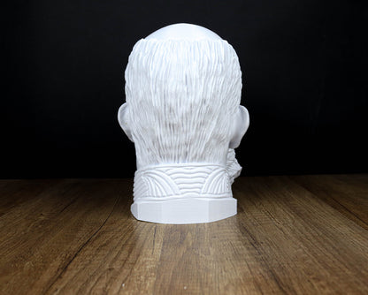 Franz Joseph I of Austria Head Bust, Emperor of Austria, King of Hungary 3d Bust Sculpture