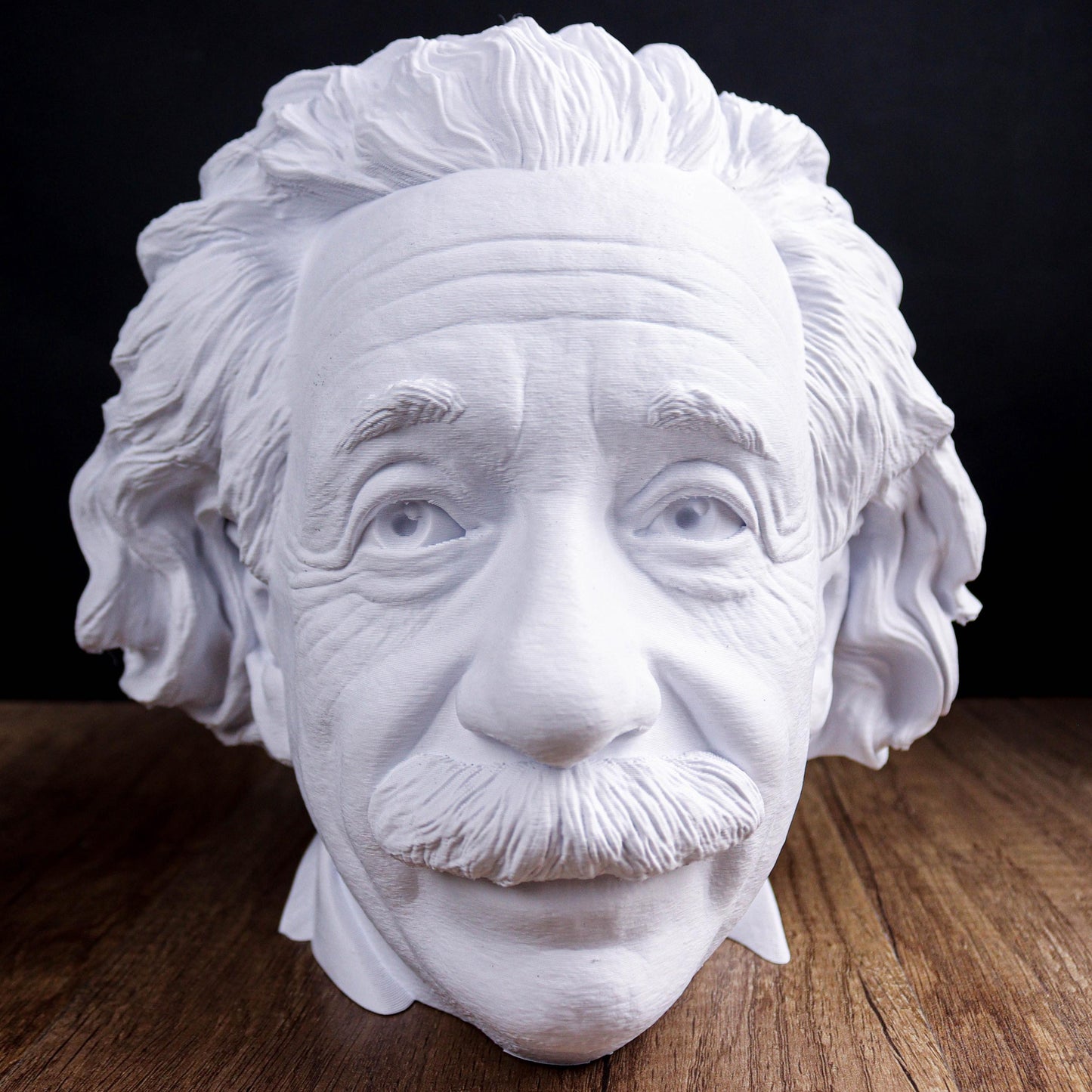 Albert Einstein Head Bust