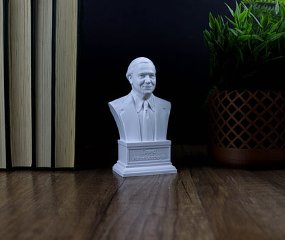 Sir David Attenborough Bust, British Broadcaster, Biologist and Author Statue