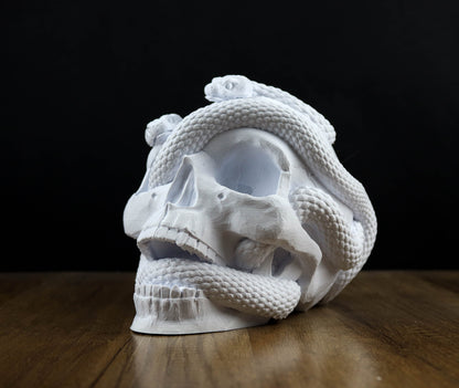 Skull and Snake Headphone Holder, Headset Stand, Bust, Sculpture, Decoration