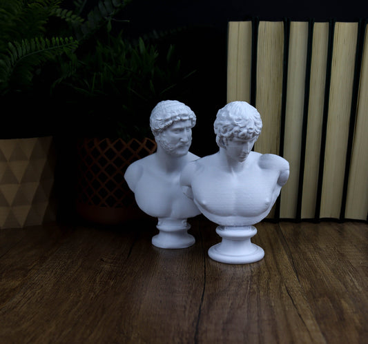 Hadrian and Antonious Bust,