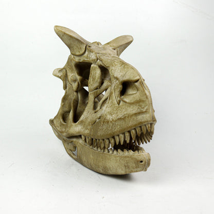 Aged Carnotaurus Skull Replica: Dinosaur Fossil Decor