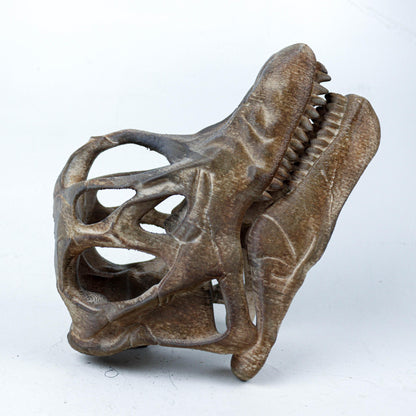 Brachiosaurus Painted Skull Replica, Prehistoric Dinosaur Fossil Model, Unique Dinosaur Lover Gift