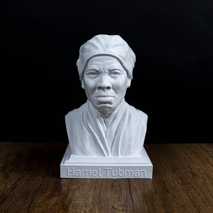 Civil Rights Leaders Bust Value Pack: Martin Luther King Jr ,Malcolm X , Harriet Tubman & More