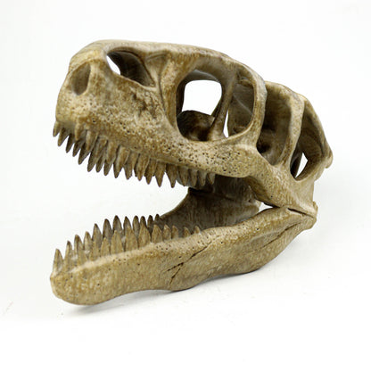 Utahraptor Skull, Dinosaur Fossil Seplica, Prehistoric decor, Gift for dinosaur lovers
