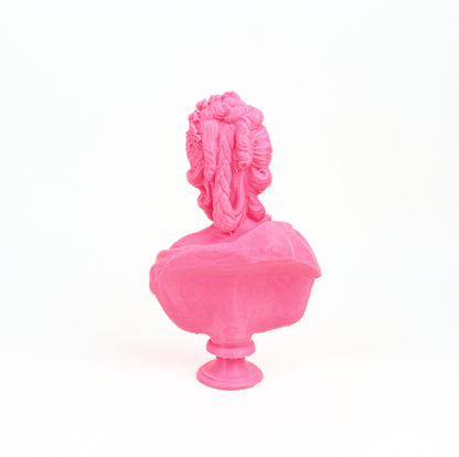 Marie Antoinette Bust, Last Queen of France Home Decor Sculpture