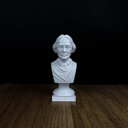 Civil Rights Leaders Bust Value Pack: Martin Luther King Jr ,Malcolm X , Harriet Tubman & More