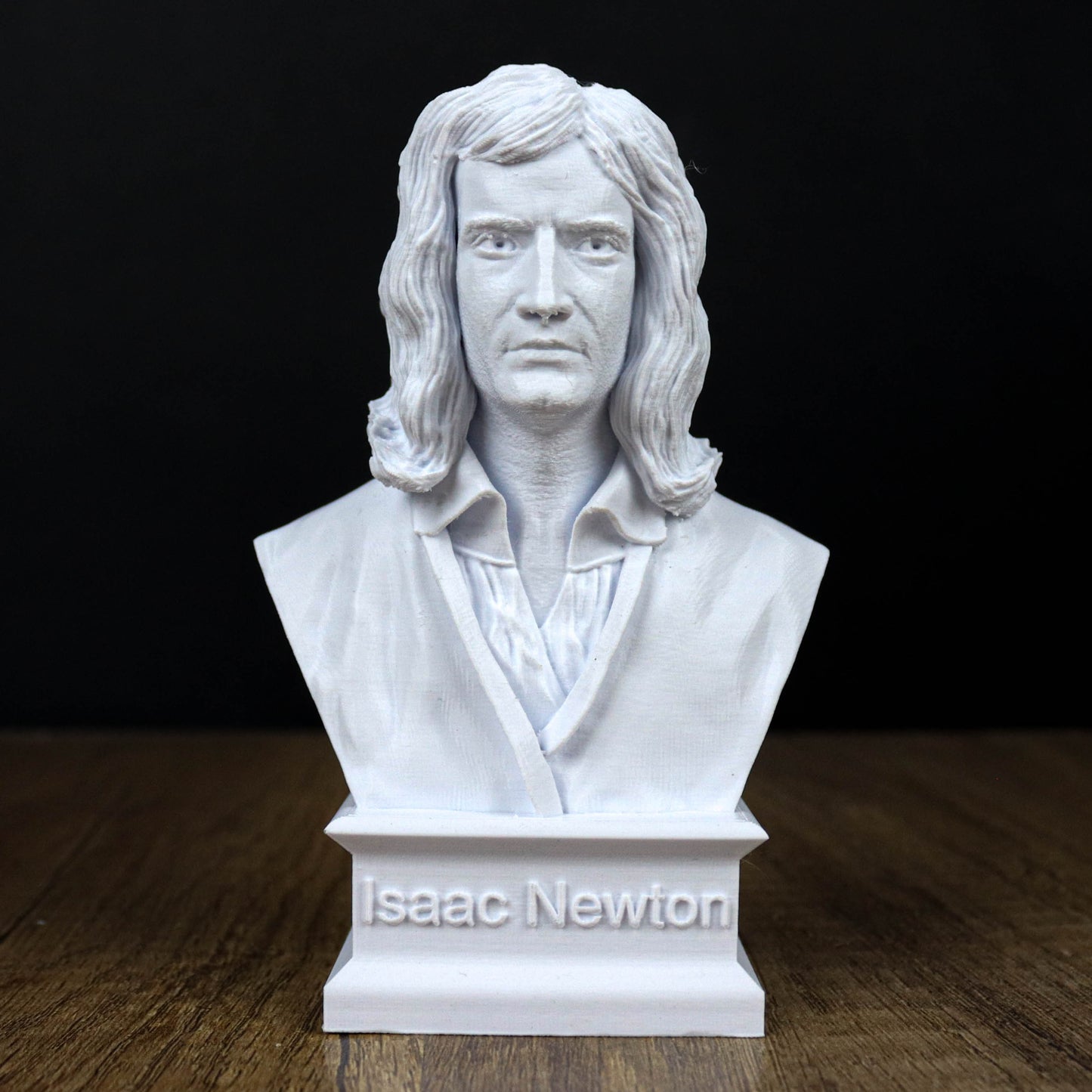 A white bust of Isaac Newton, a famous scientist, is displayed on a wooden surface.