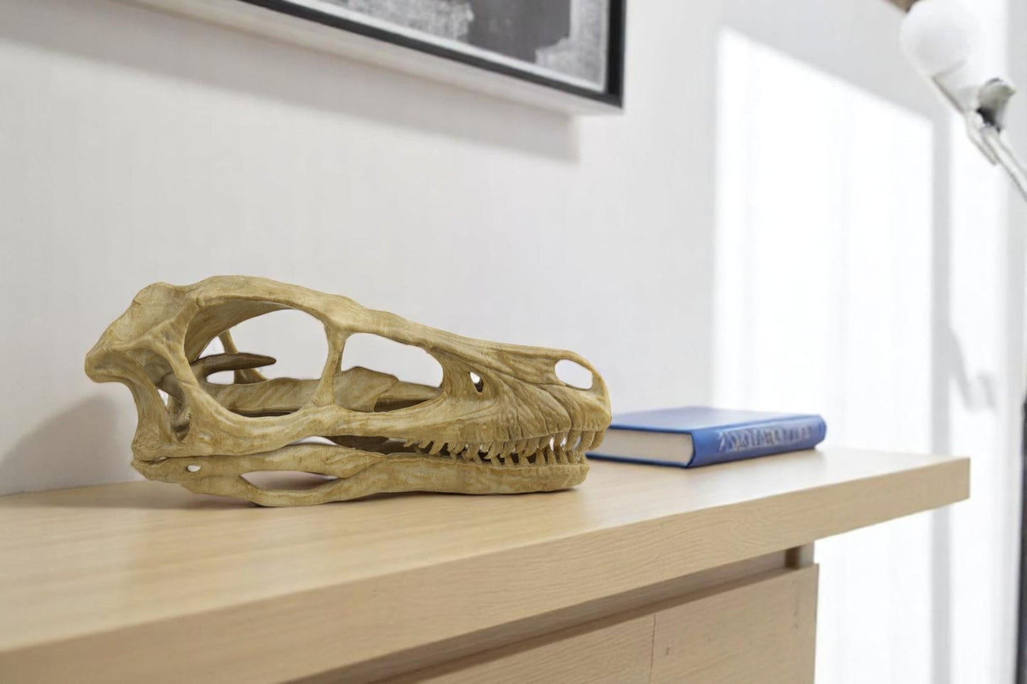 Velociraptor skull, Velociraptor Handpainted Aged Skull Replica, Prehistoric Dinosaur Fossil Decor, Jurassic Collectible Gift
