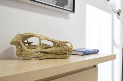 Velociraptor skull, Velociraptor Handpainted Aged Skull Replica, Prehistoric Dinosaur Fossil Decor, Jurassic Collectible Gift