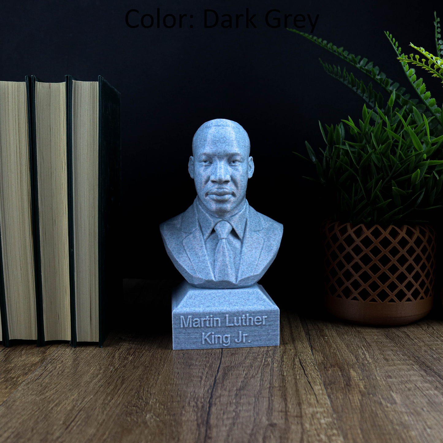 A bust of Martin Luther King Jr. is displayed on a wooden surface, surrounded by books and a potted plant.