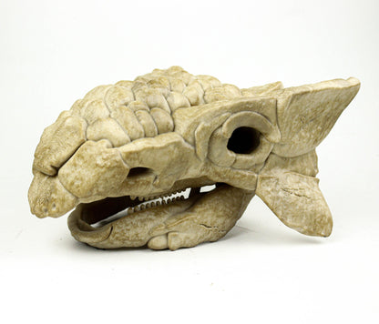 Ankylosaurus skull, Dinosaur Fossil Replica, Prehistoric Decor, Gift for Dinosaur Lovers