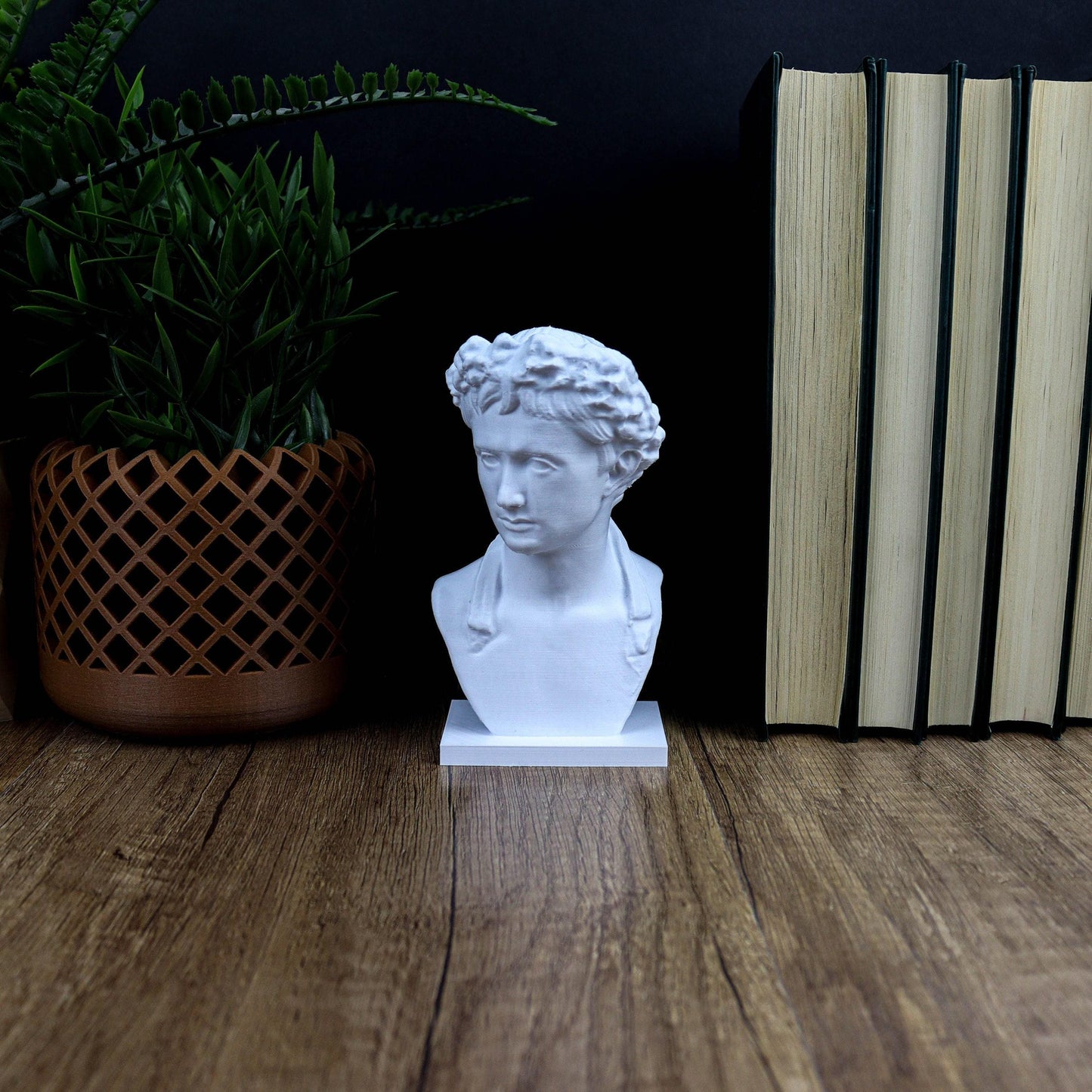 Augustus 3D Printed Bust, Roman Emperor Home Decor