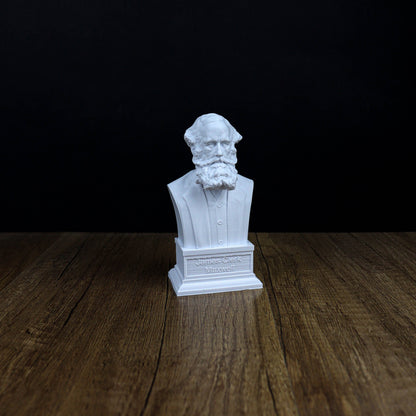 James Clerk Maxwell Bust, Physics Home Decor Gift Idea
