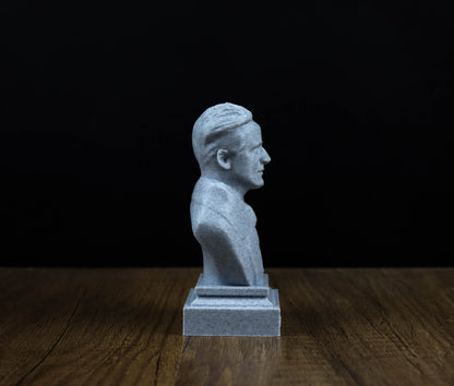 Erwin Schrodinger 3D Sculpture Bust