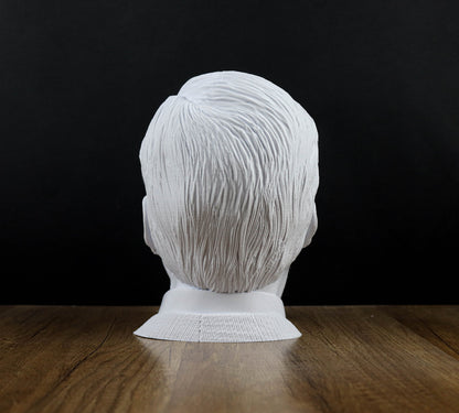 Saul Goodman Headphone Holder, Bob Odenkirk Headset Stand, Bust, Sculpture, Decoration