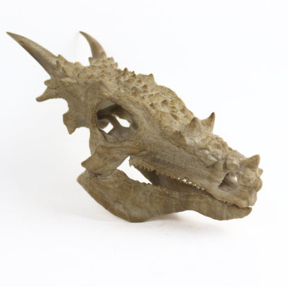 Dracorex Aged Skul,Dragon Skull Decor, Dinosaur Fossil Replica