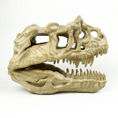Aged Ceratosaurus Skull Replica: Prehistoric Dinosaur Fossil Model