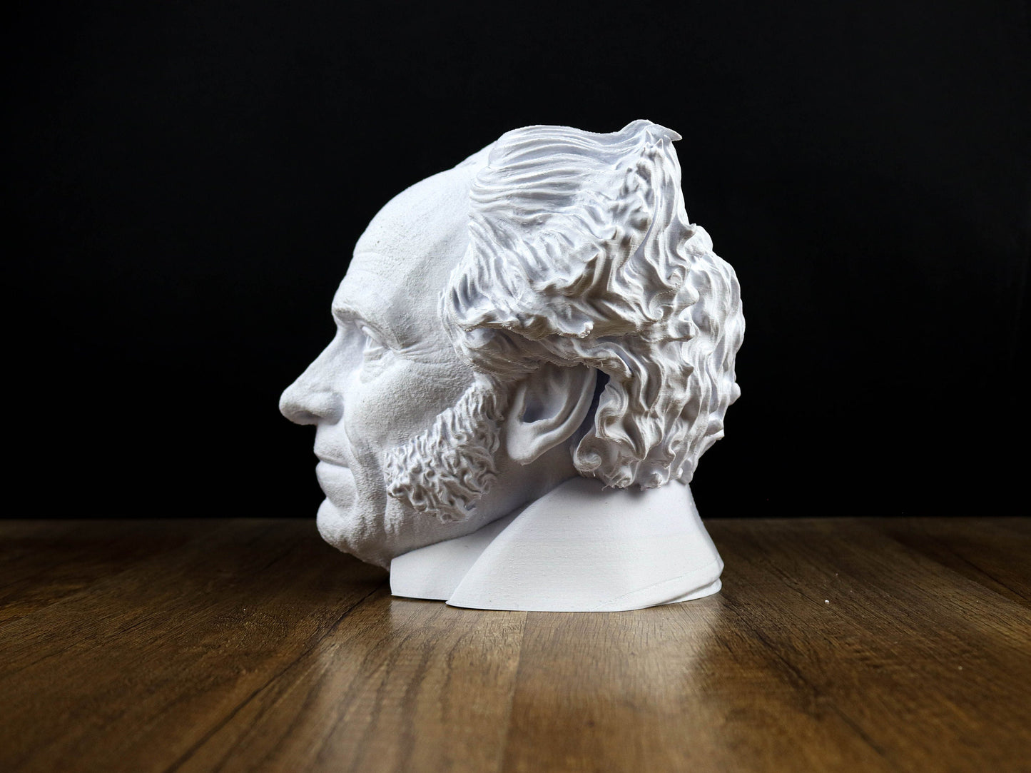 Arthur Schopenhauer Bust, German philosopher Statue, Sculpture Decoration ,Intellectual Home Decor