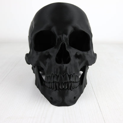 Human Skull Headphone Holder, Skull Horror Decor Headphone stand