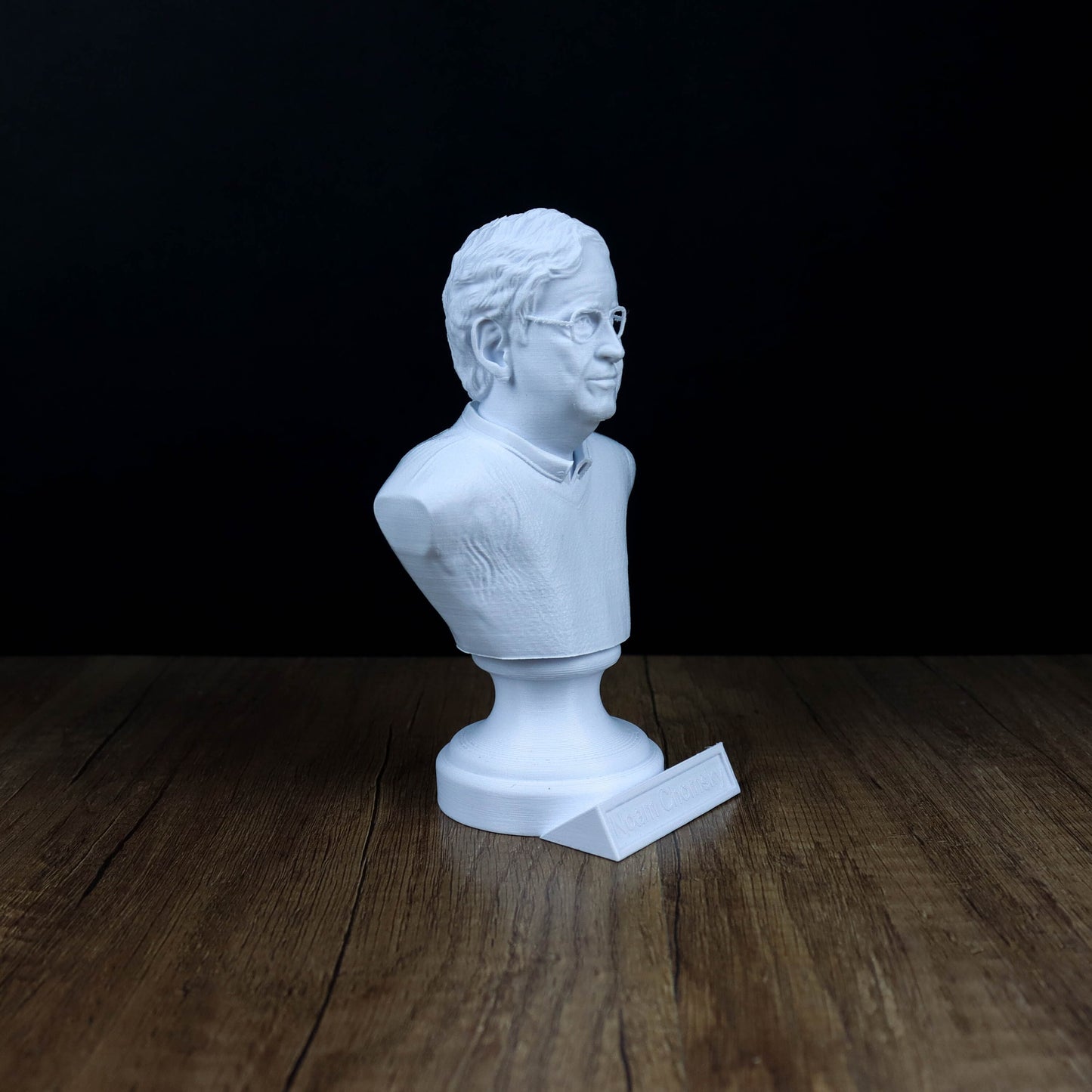 Noam Chomsky Bust, Linguistics Genius Statue, Gift for Intellectuals