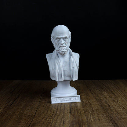 Hippocrates Bust Sculpture, Greek Physician Statue