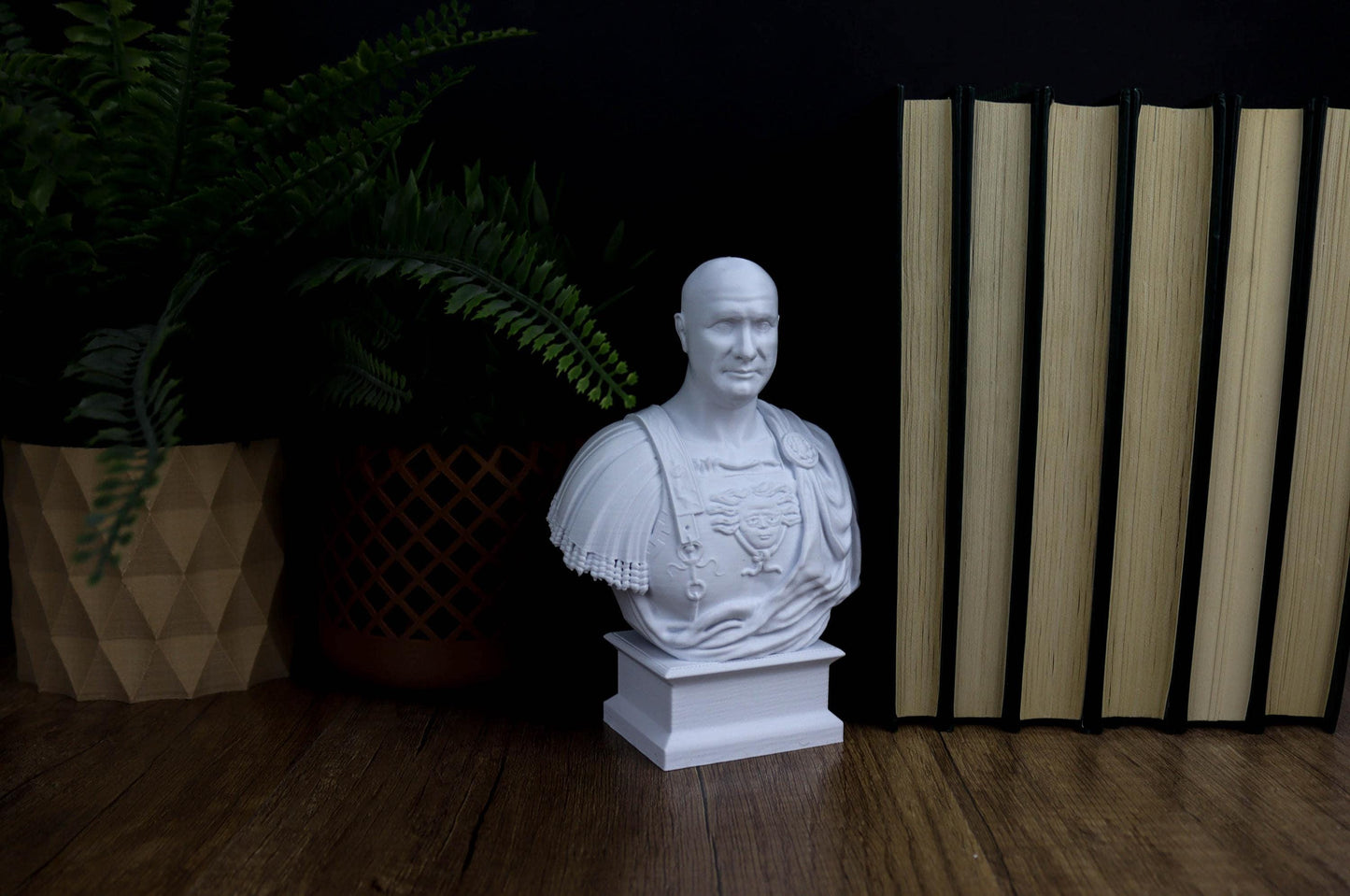 Scipio Africanus Bust, Roman General Bookshelf and Home Decor