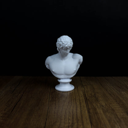Hadrian and Antonious Bust,