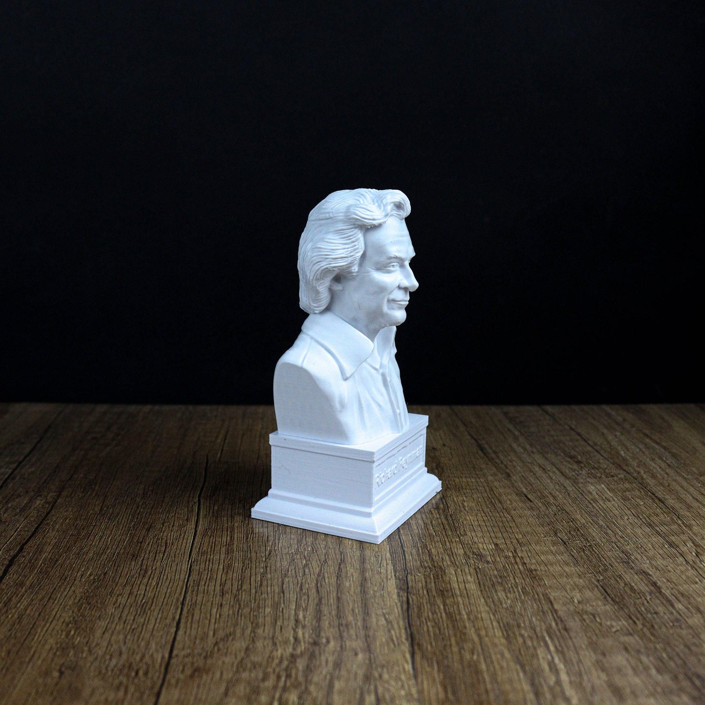 Richard Feynman Bust, Gift for Science Lovers