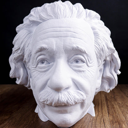 Albert Einstein Head Bust
