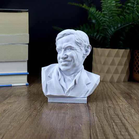 Professor Stephen Hawking Bust
