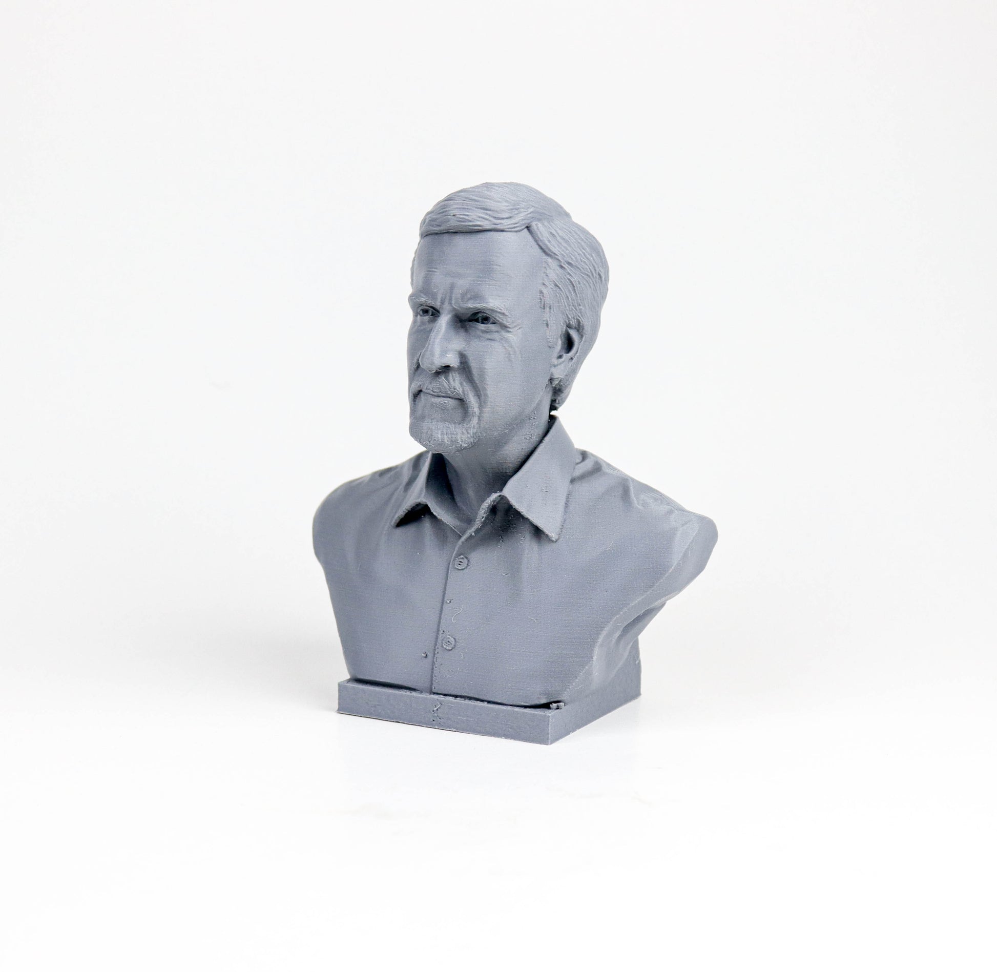 A gray bust of a man's head, possibly a portrait, is shown against a white background.