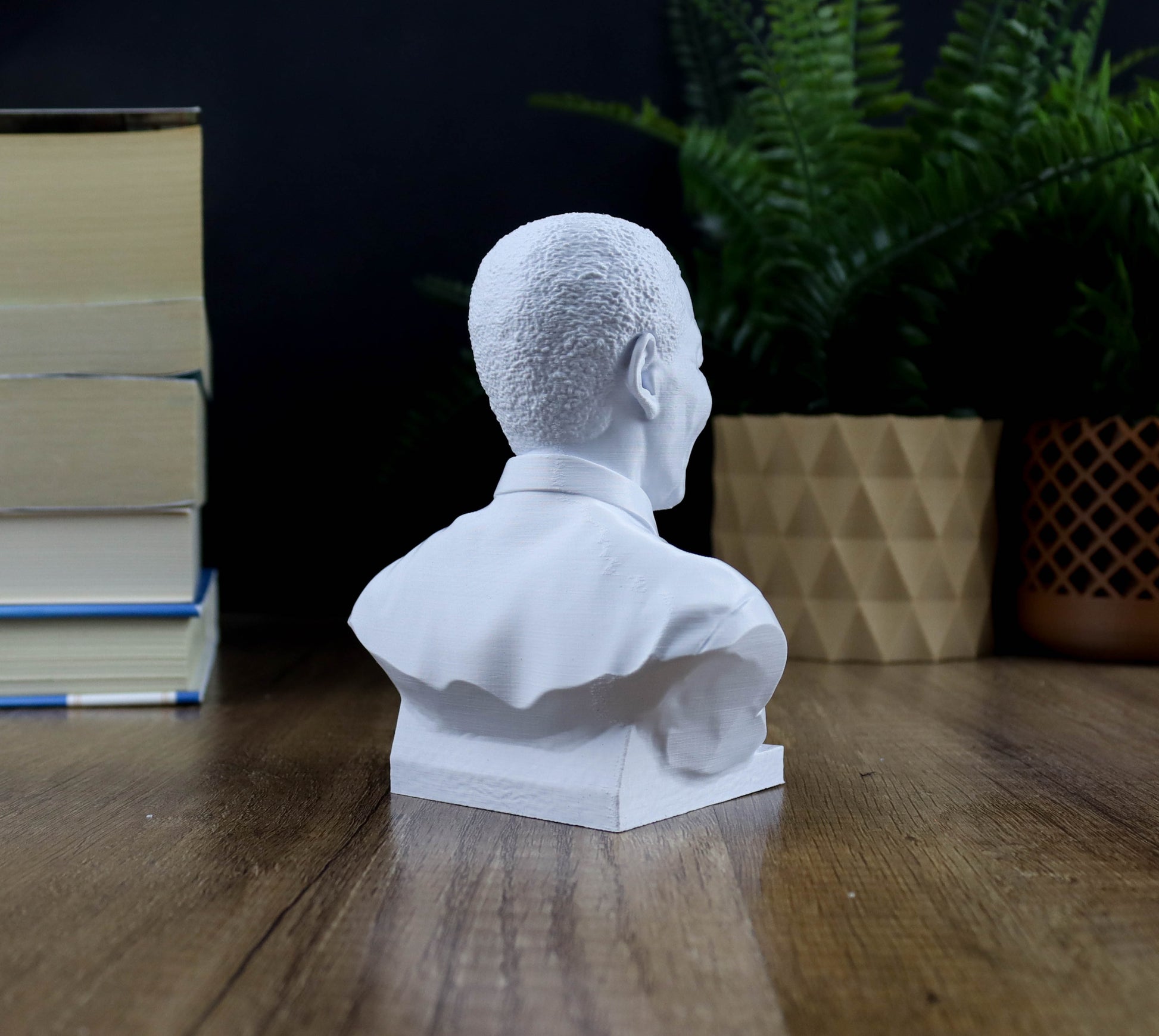 A white bust of a person is displayed on a wooden surface, surrounded by books and a potted plant.