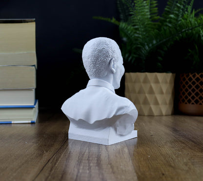 A white bust of a person is displayed on a wooden surface, surrounded by books and a potted plant.
