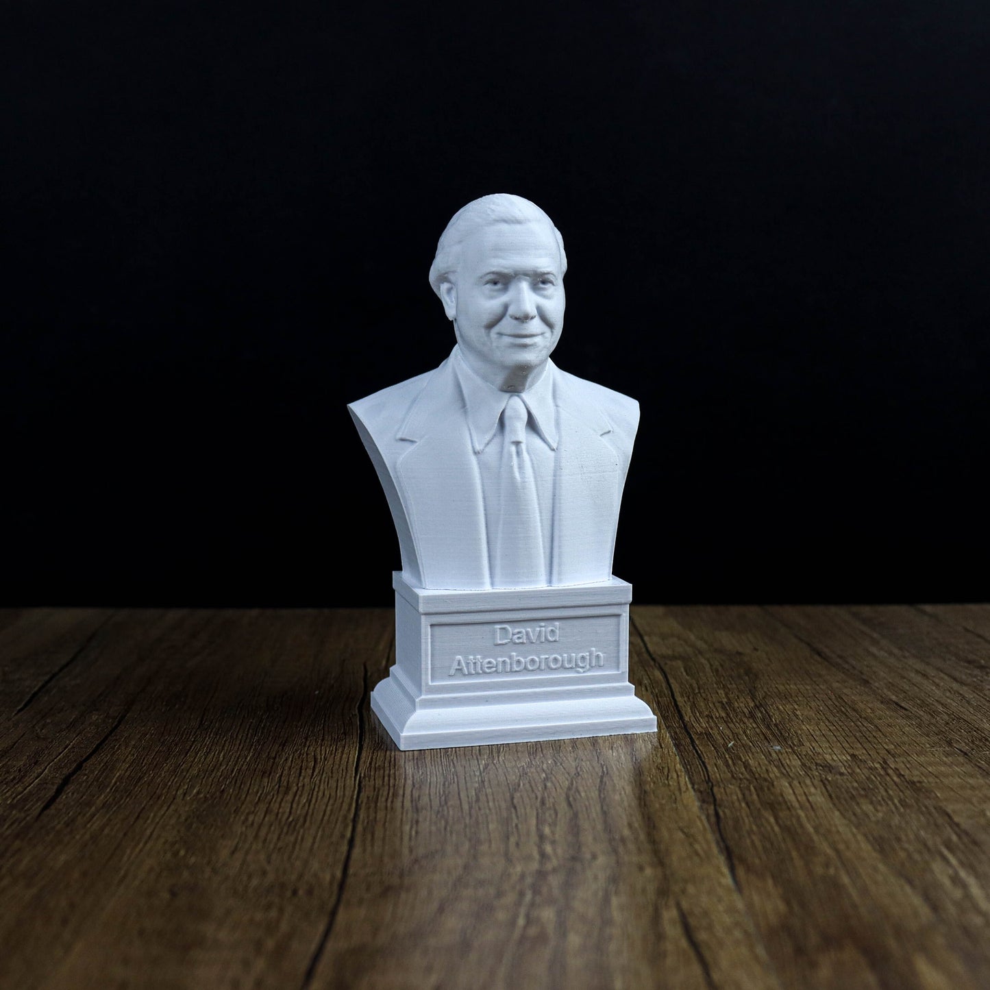 Sir David Attenborough Bust, British Broadcaster, Biologist and Author Statue